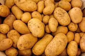 Ina Garten Roasted Potatoes